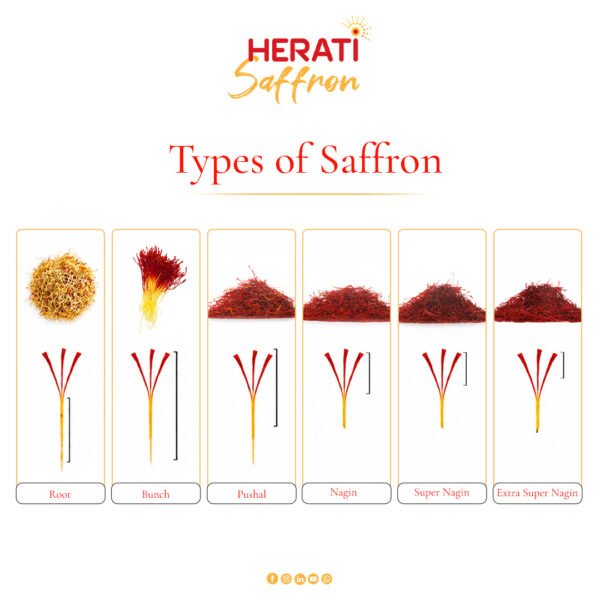 Herati Saffron: Types of saffron
